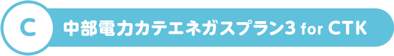 C 中部電力カテエネガスプラン3 for CTK