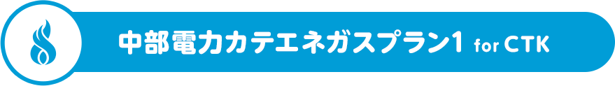 中部電力カテエネガスプラン1 for CTK